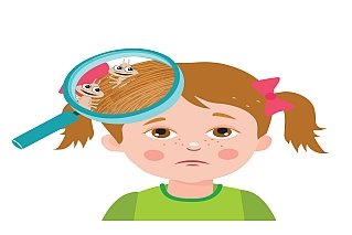 LEARN ABOUT HEAD LICE